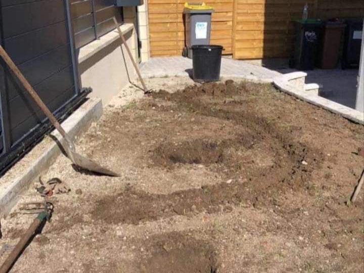 Jardin après création