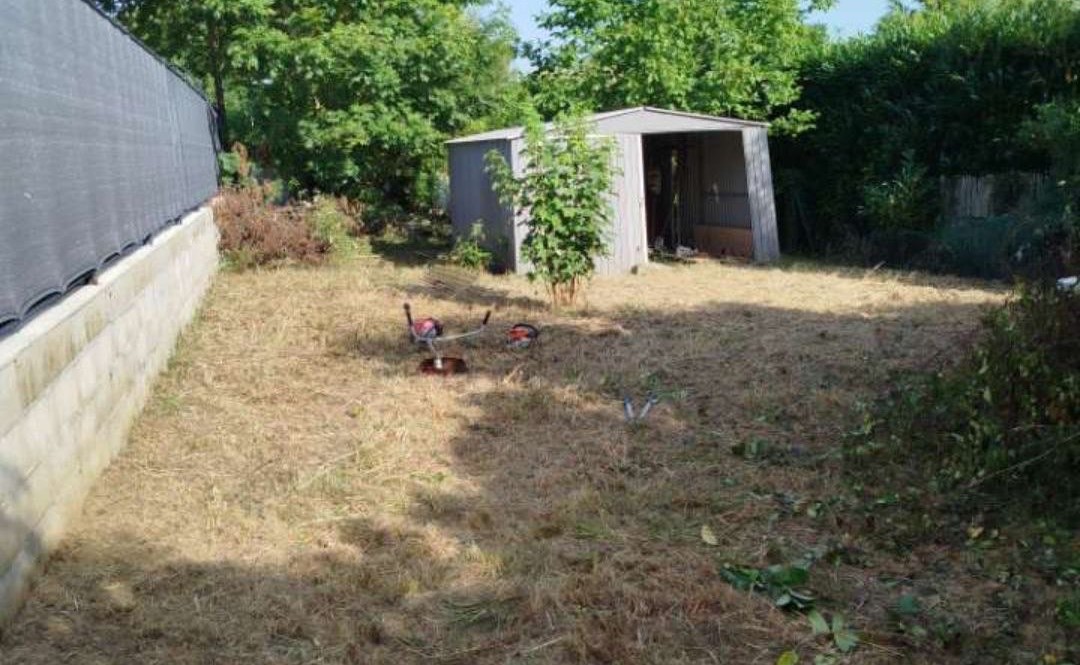Terrain envahi